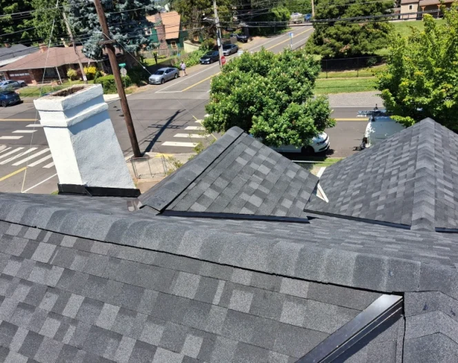 Dark gray asphalt shingle roof with skylights, vents, and a chimney on a residential house surrounded by trees.